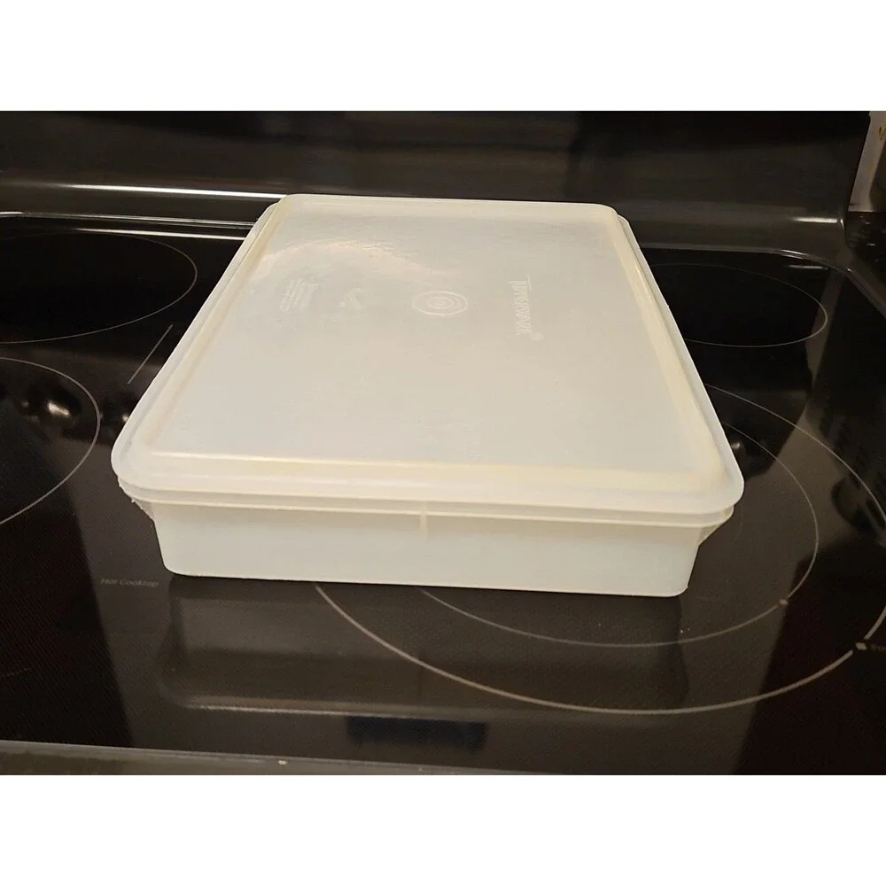 Vintage Tupperware Handolier #290 Sheer Rectangle Keeper With #291 Lid READ